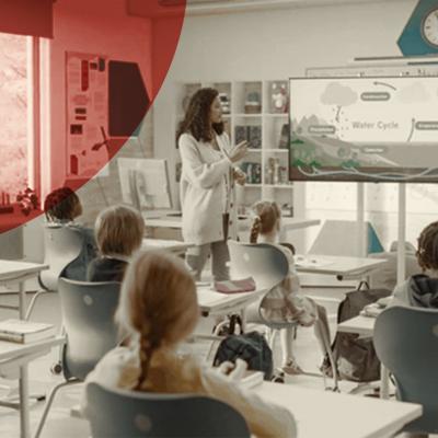 Basisscholen in Nederland